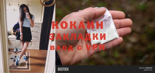 дживик Дмитриев