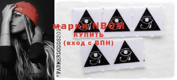 шишки Тутаев