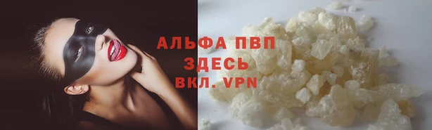 дживик Дмитриев
