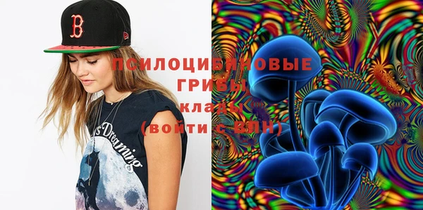дживик Дмитриев