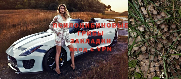 ГАЛЛЮЦИНОГЕННЫЕ ГРИБЫ Дмитров