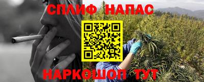 ешки Гагарин