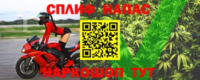 шишки Волгодонск