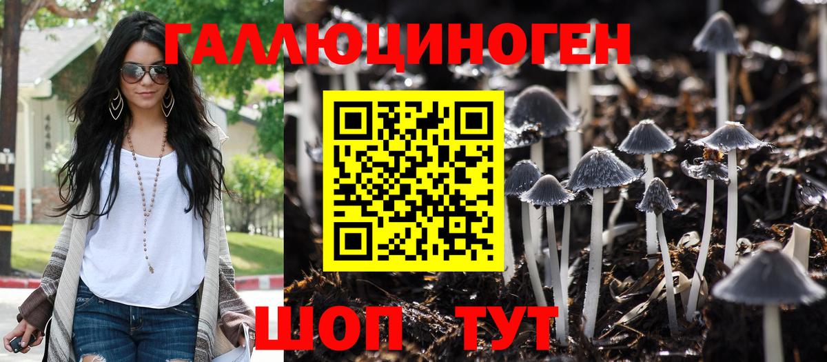 Галлюциногенные грибы Psilocybine cubensis  Вход с VPN  Острогожск 